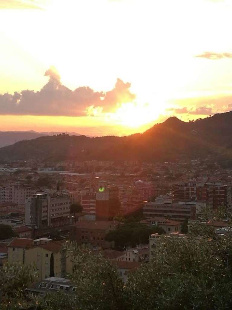  - foto 9