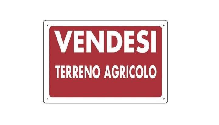 Capannone, Massa