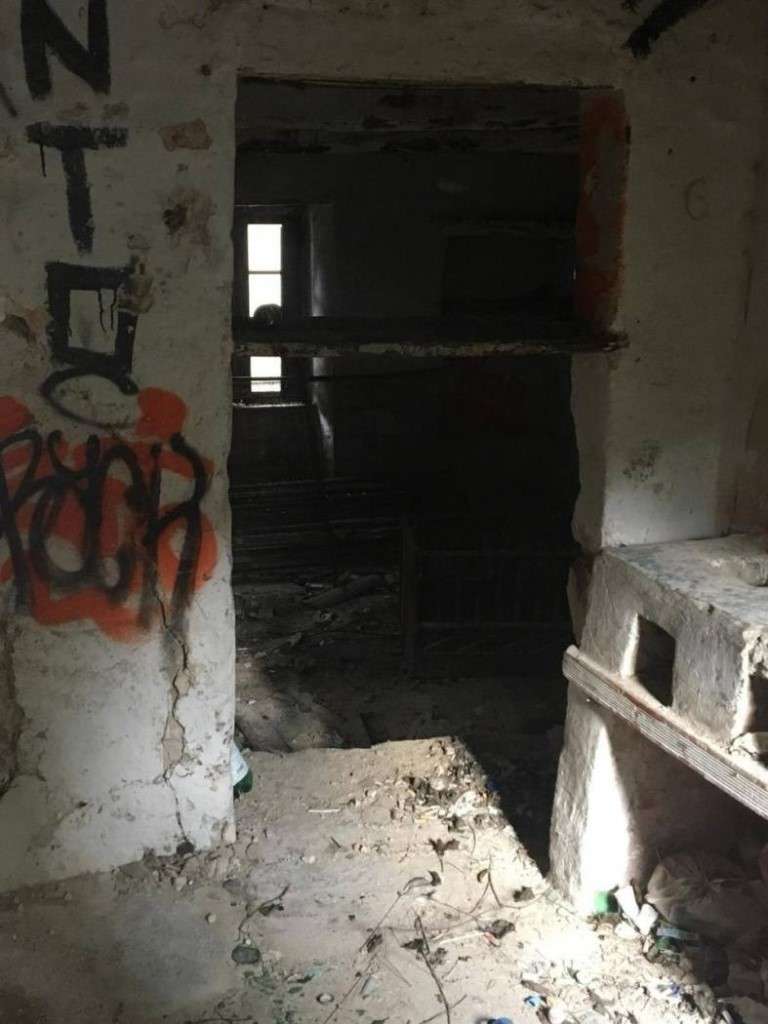 immagine annuncio 2 di 12