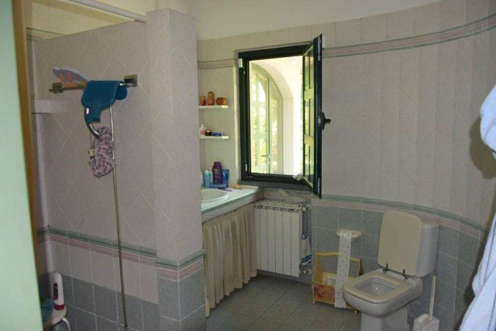  - foto 11