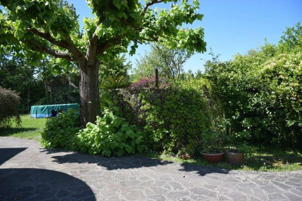  - foto 19
