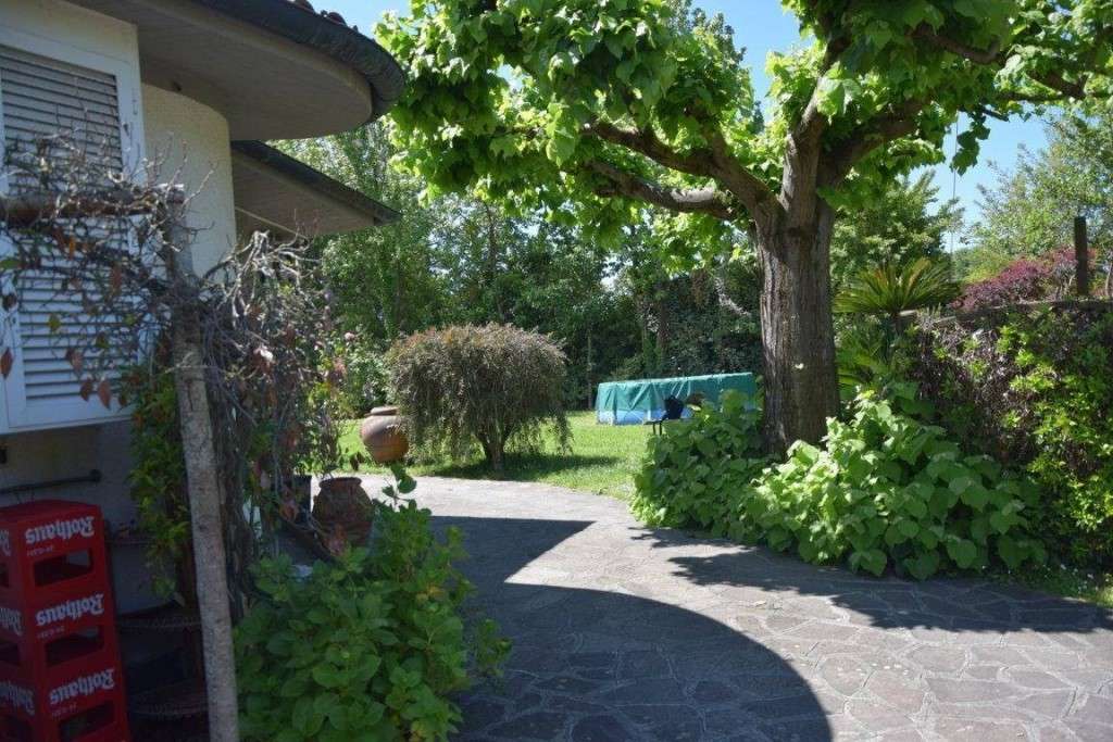  - foto 20