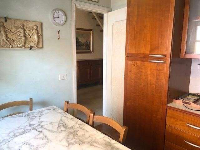  - foto 7