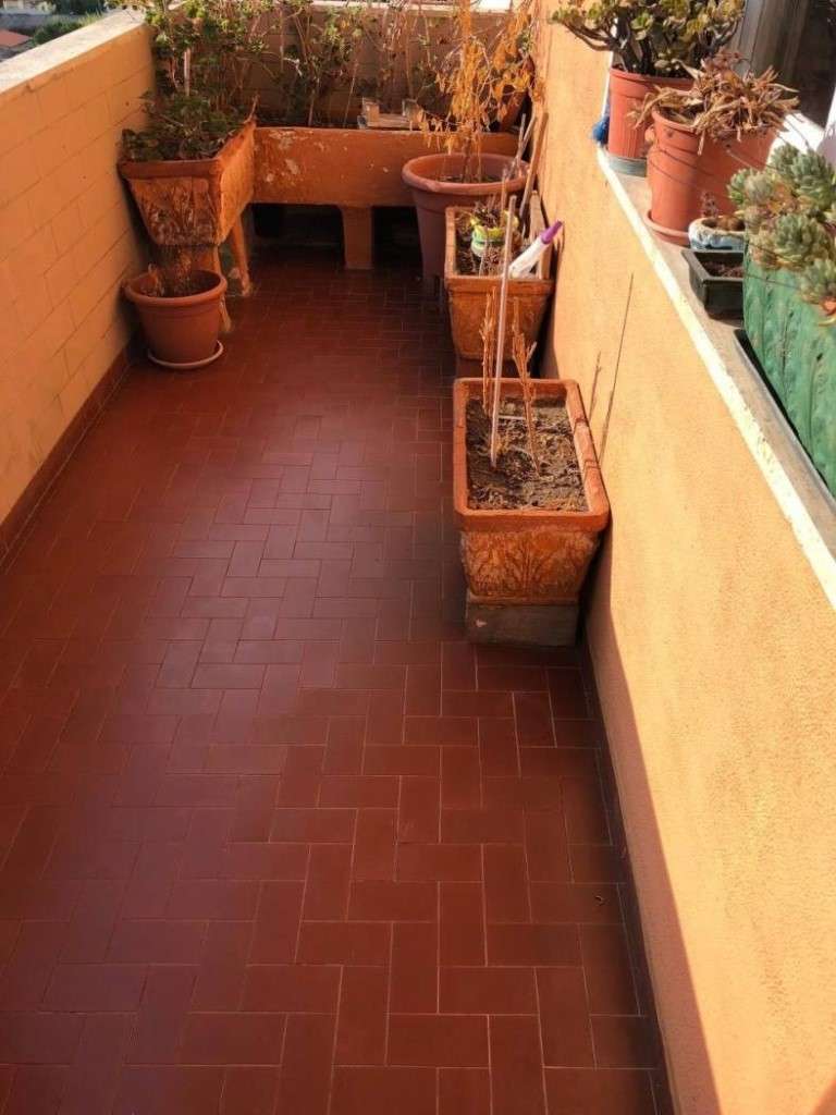immagine annuncio 3 di 14