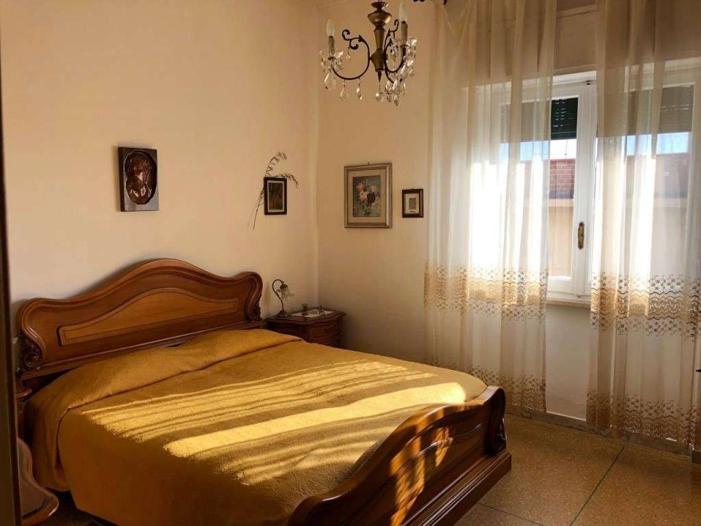 immagine annuncio 9 di 14