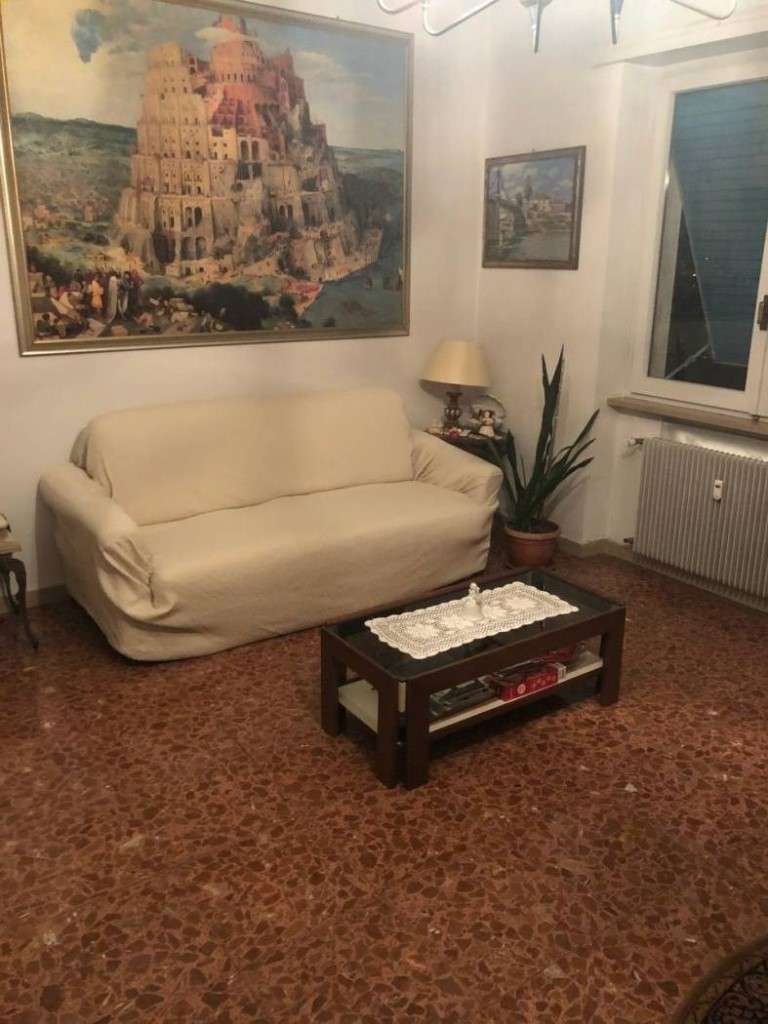 immagine annuncio 6 di 14