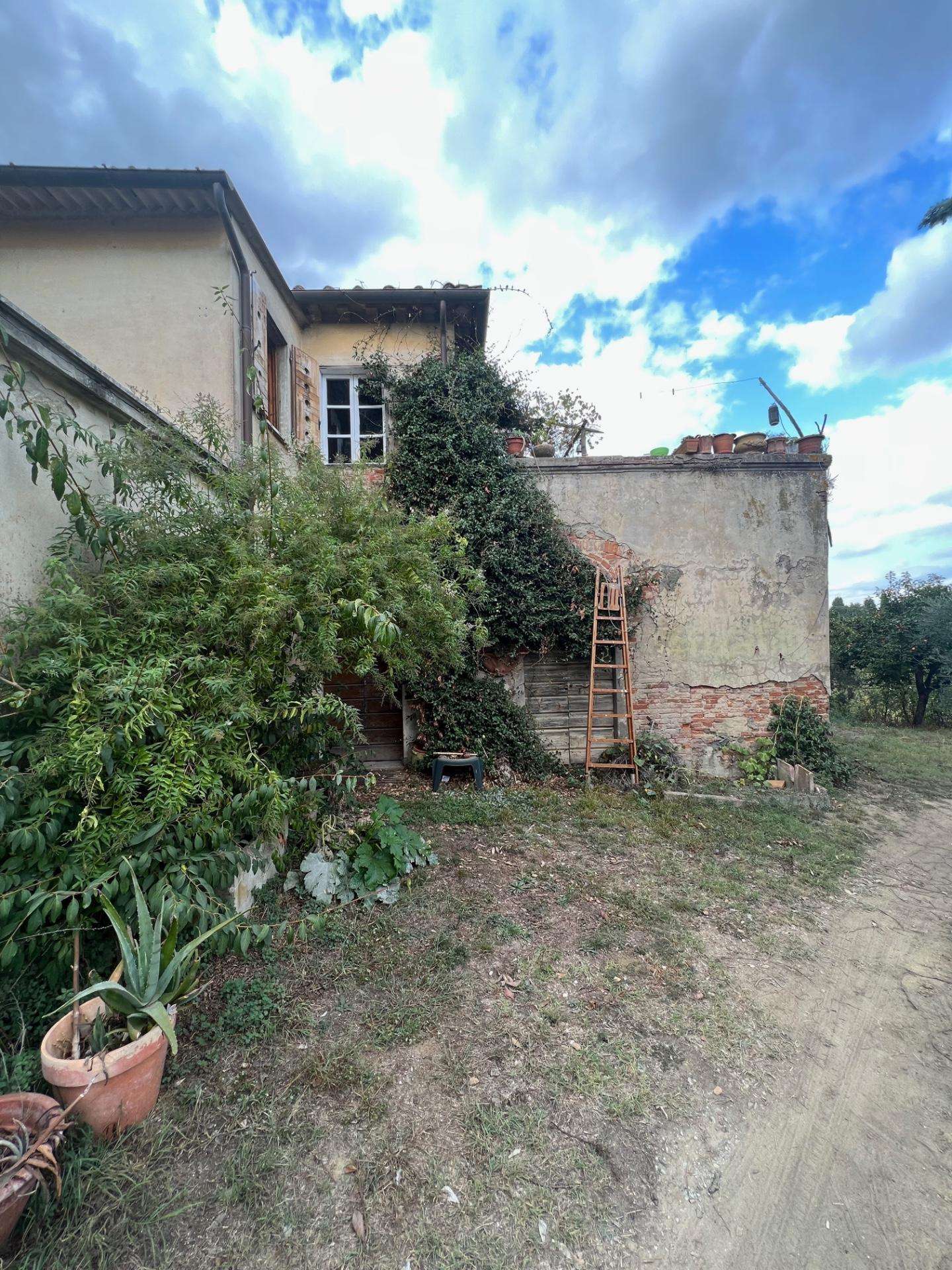  - foto 21