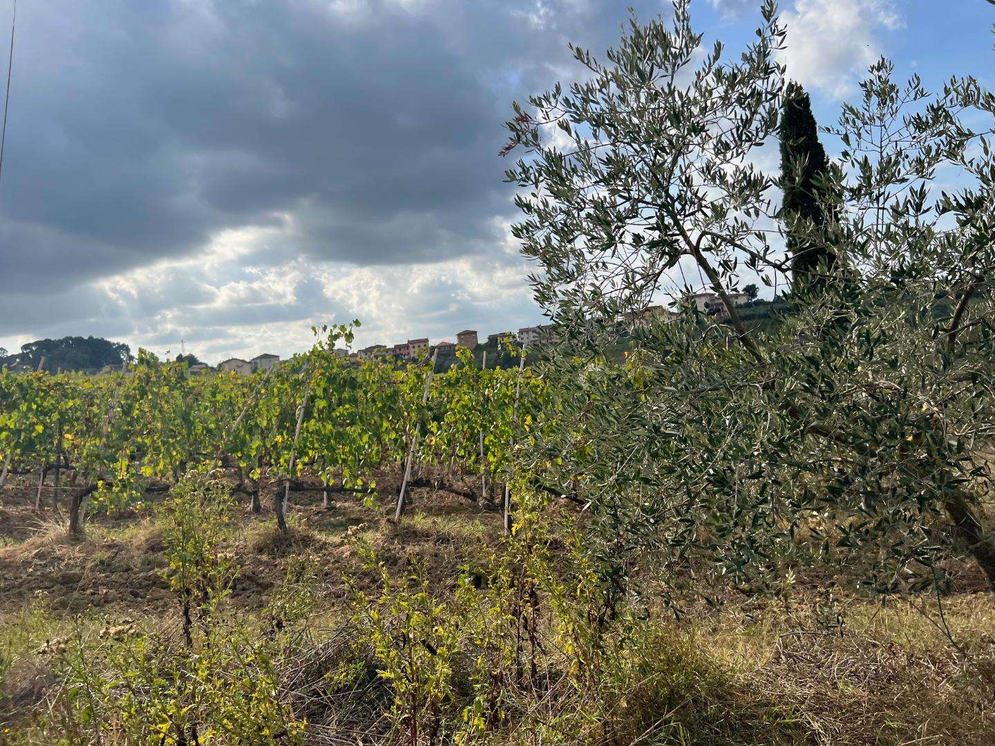  - foto 32