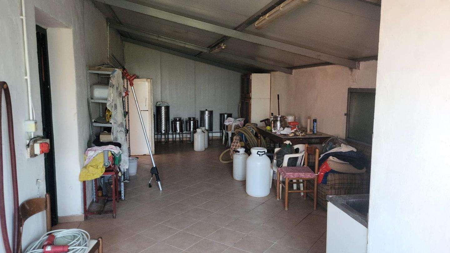  - foto 5
