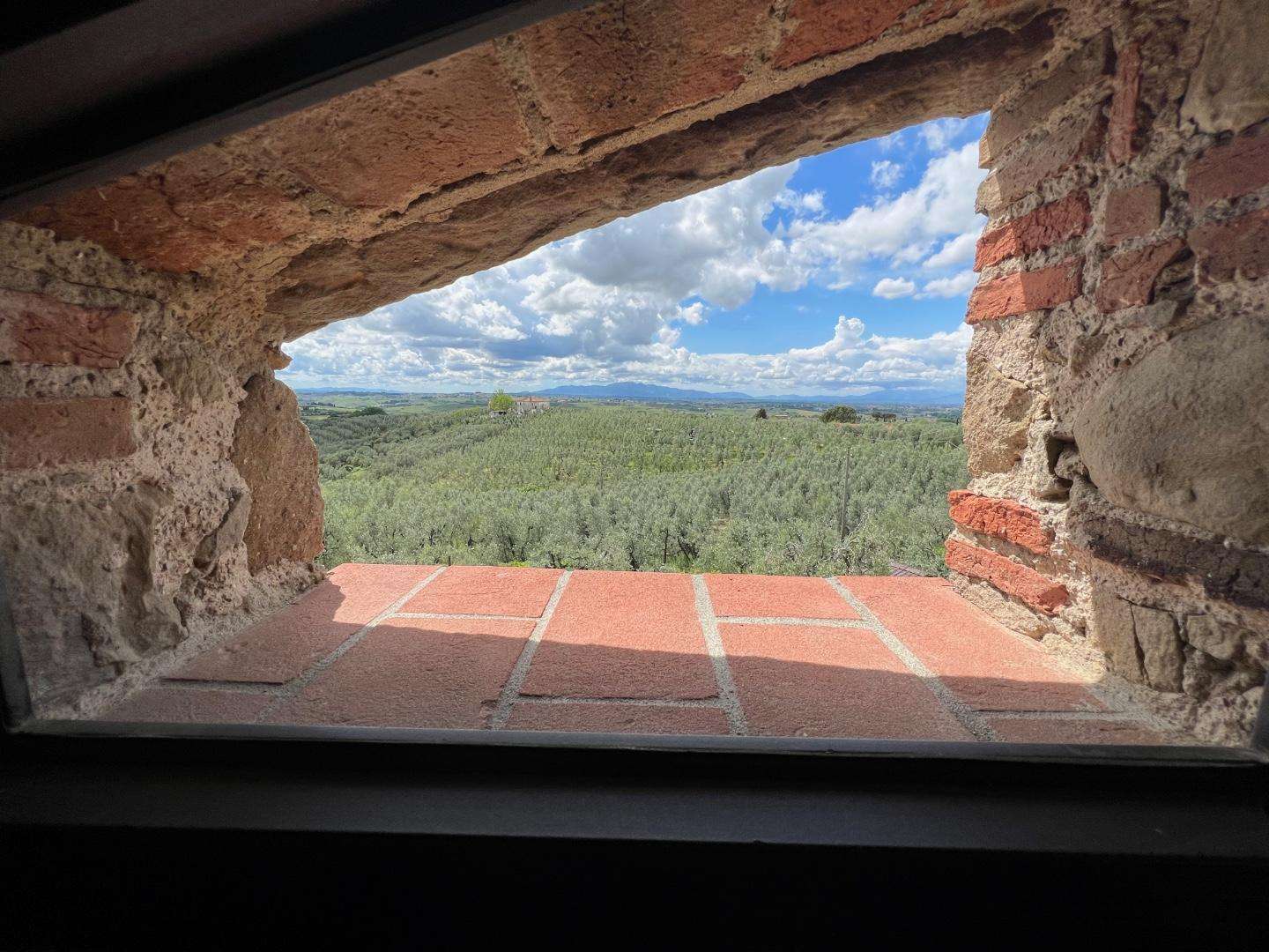  - foto 49