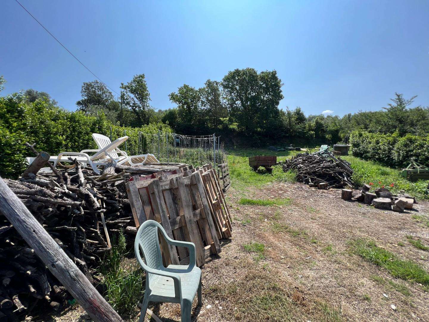 immagine annuncio 3 di 12