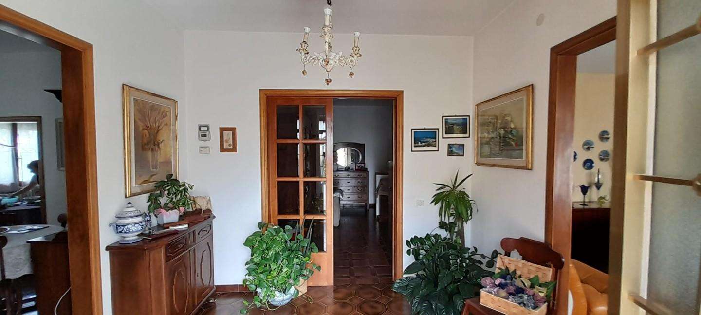  - foto 7