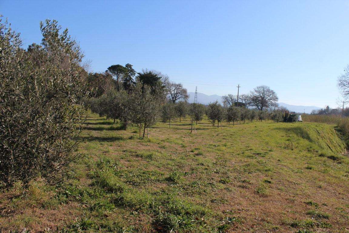 immagine annuncio 2 di 11