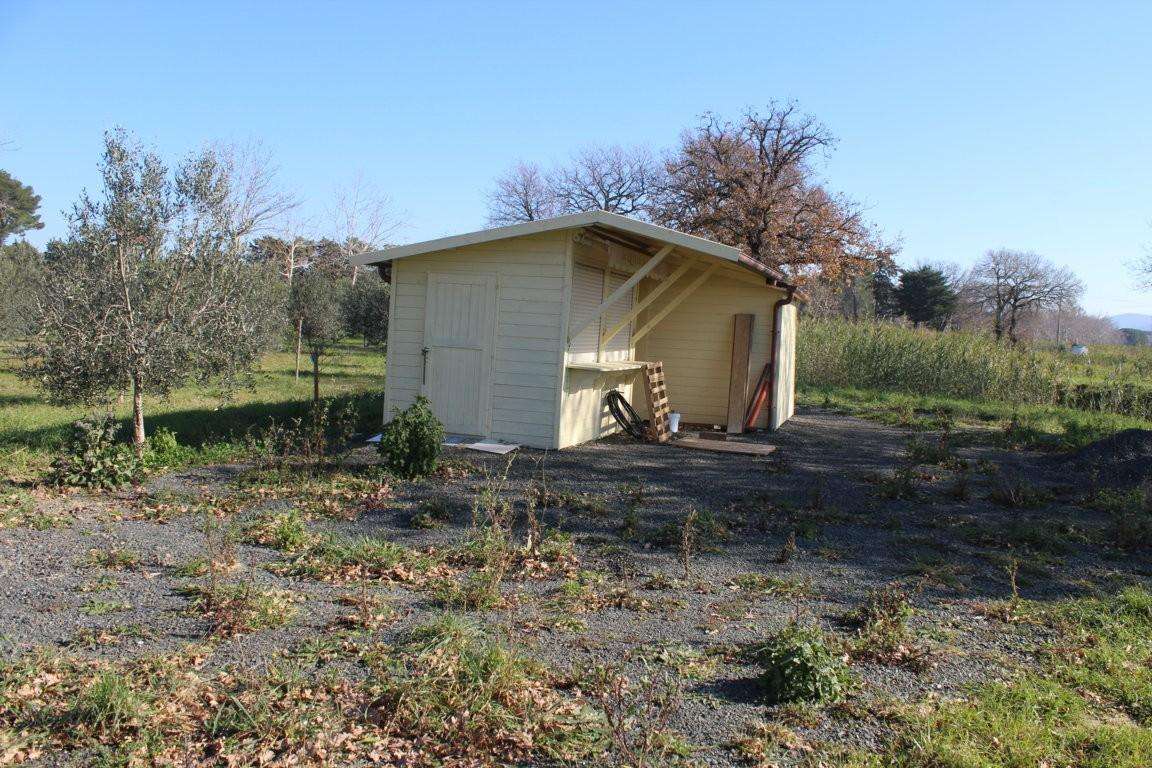 immagine annuncio 3 di 11