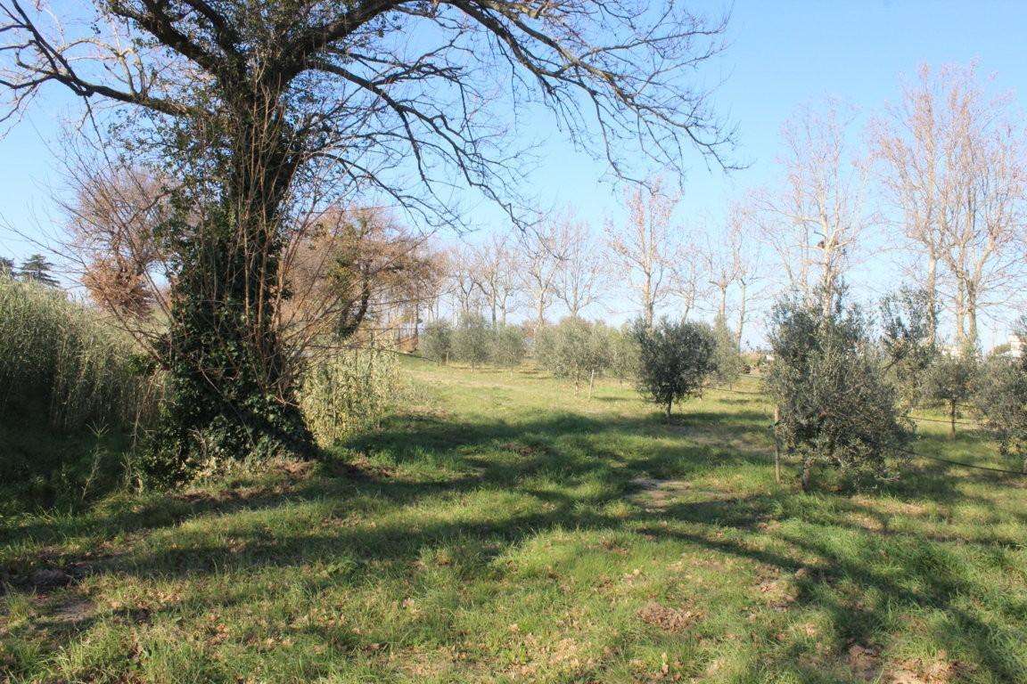 immagine annuncio 9 di 11