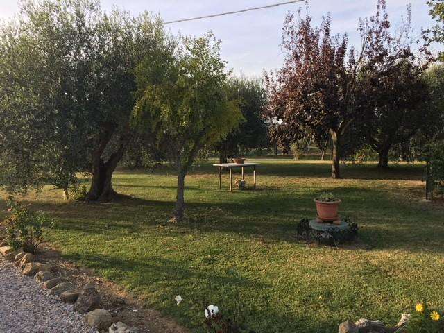  - foto 25