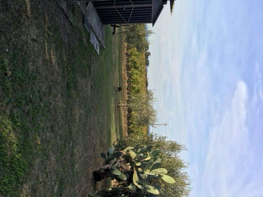  - foto 26