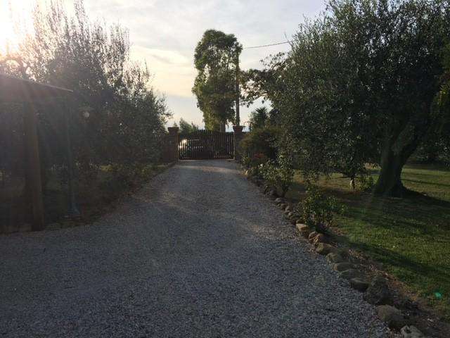  - foto 27