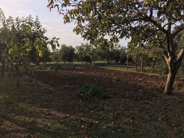  - foto 33