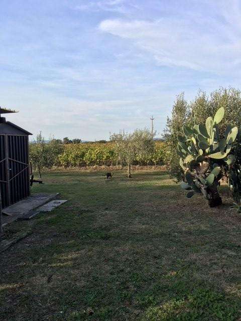  - foto 35