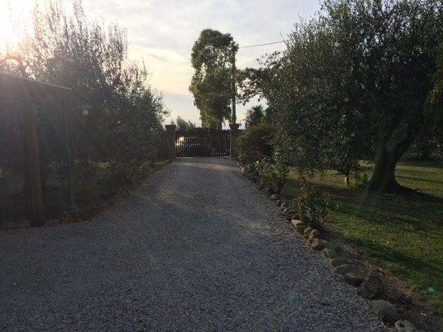  - foto 38