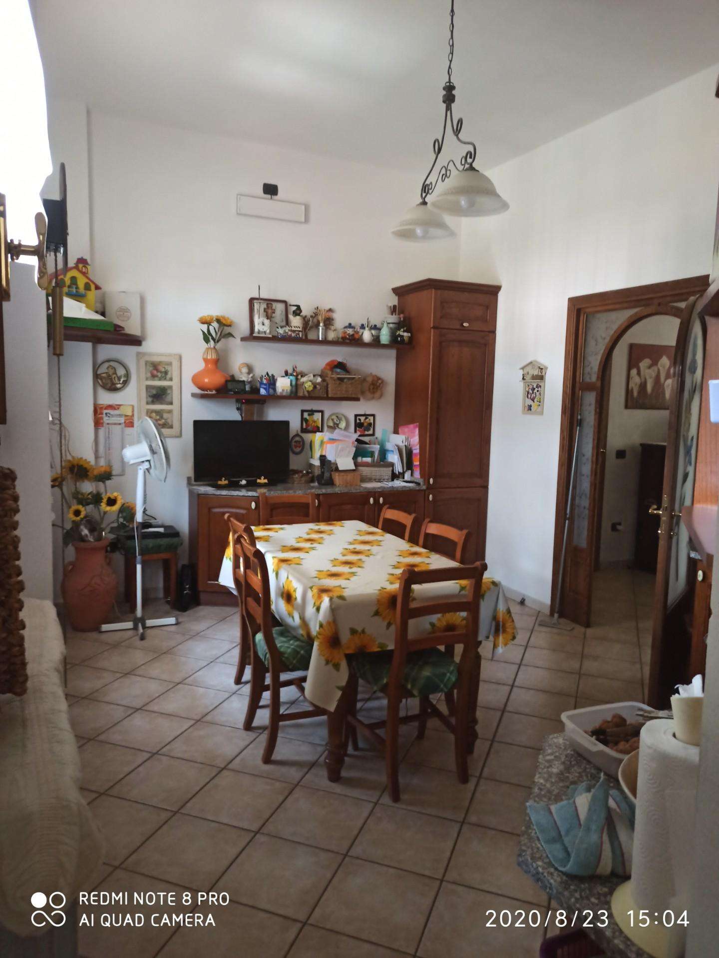 immagine annuncio 13 di 14
