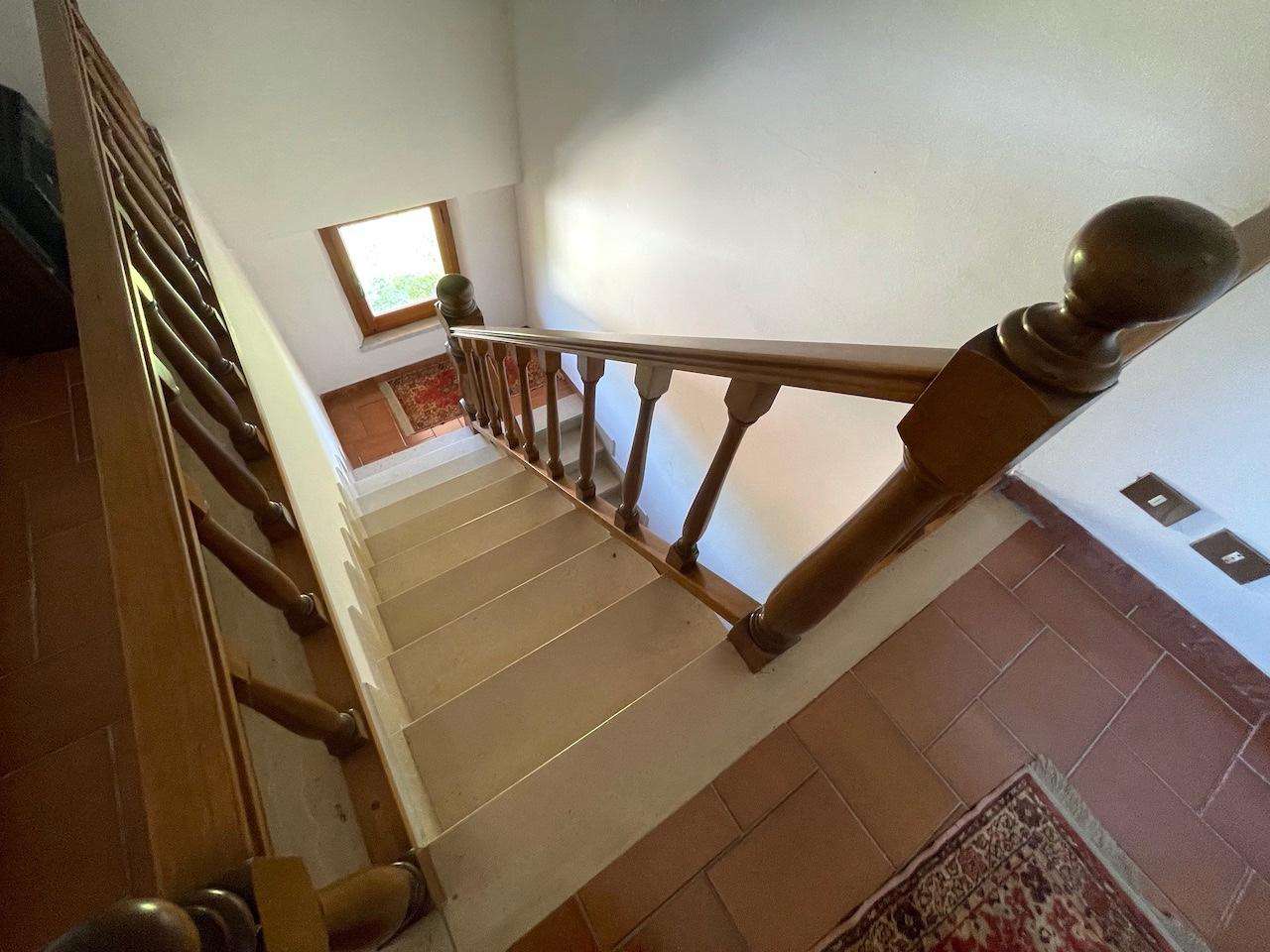  - foto 27