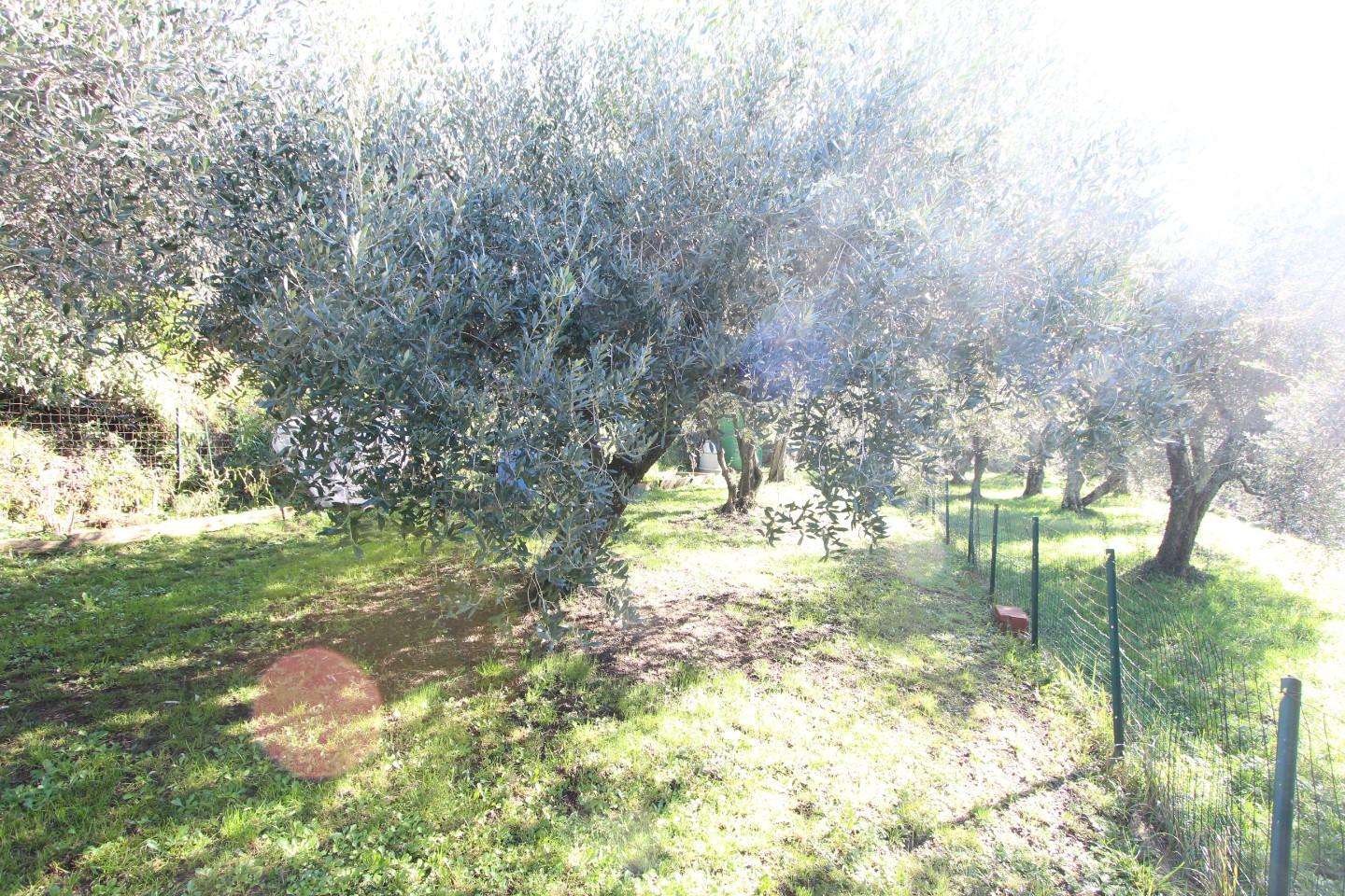  - foto 14