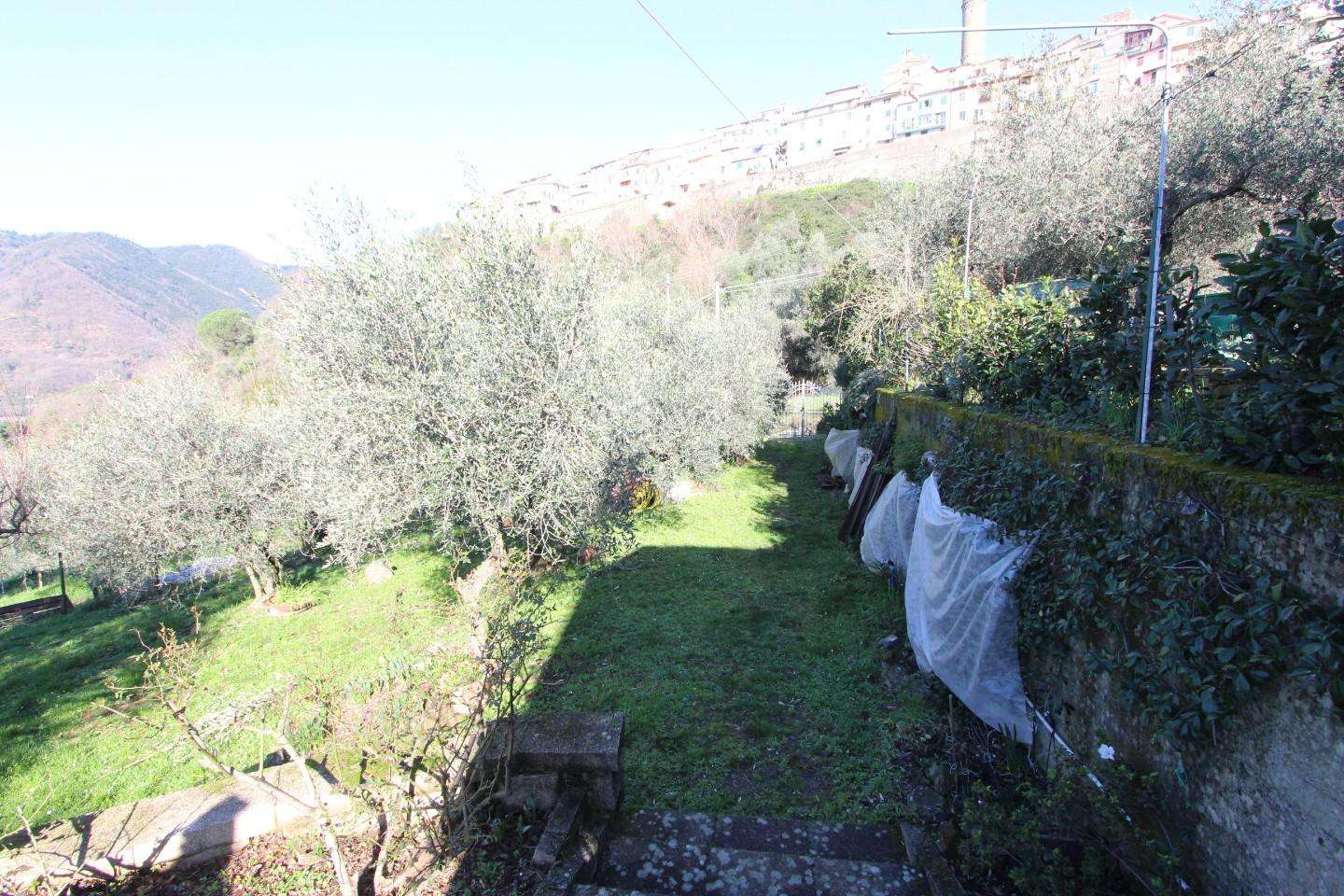  - foto 4