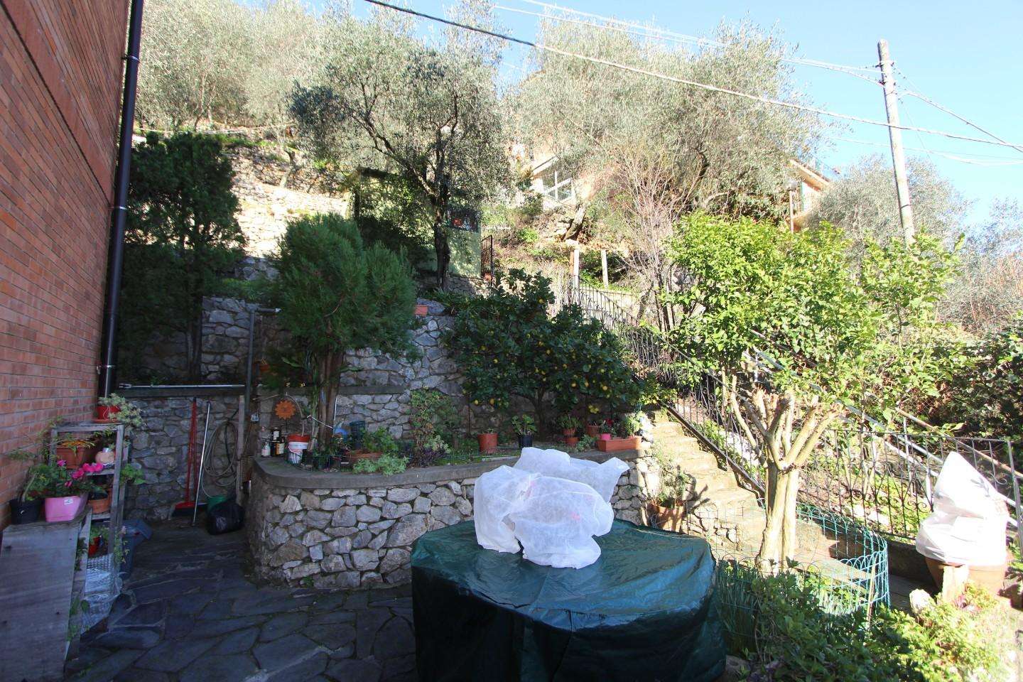 - foto 31
