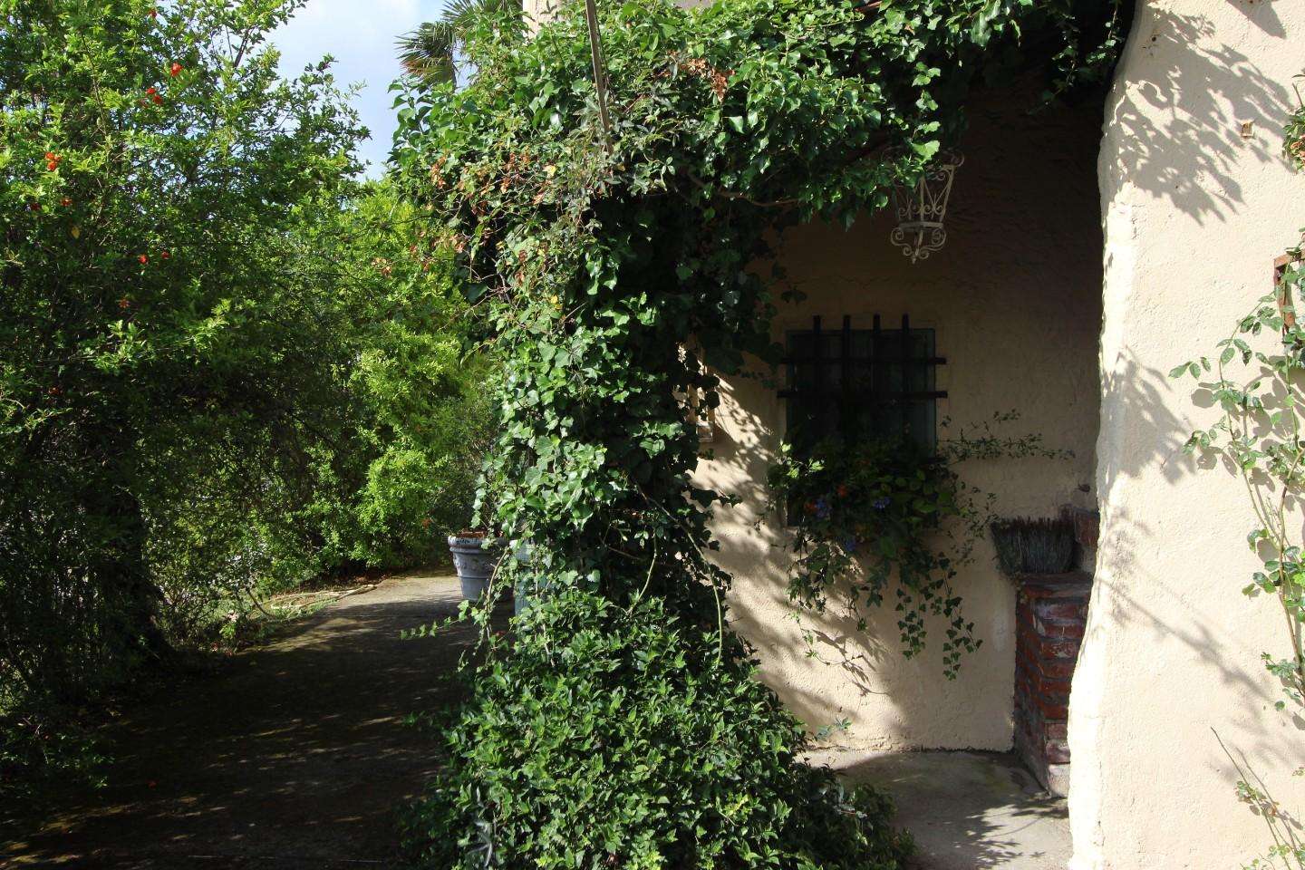  - foto 6