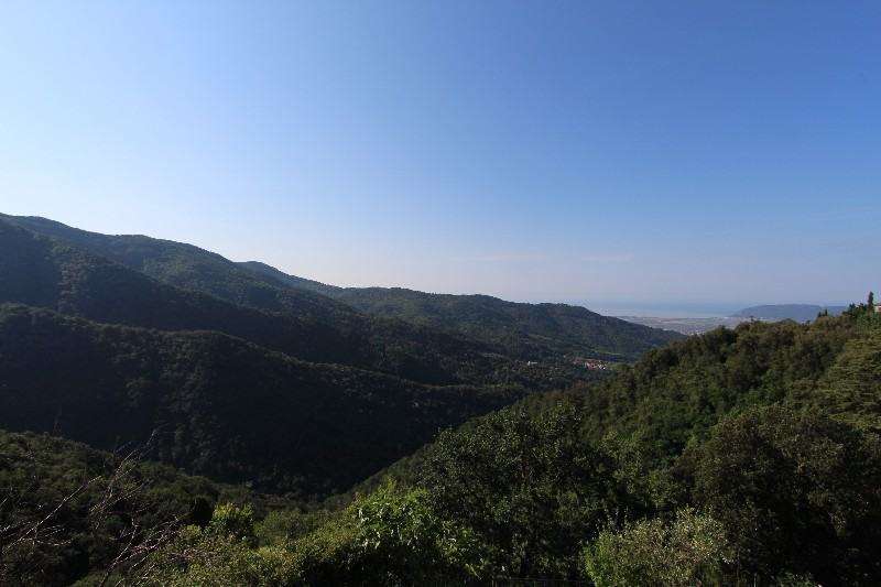  - foto 13