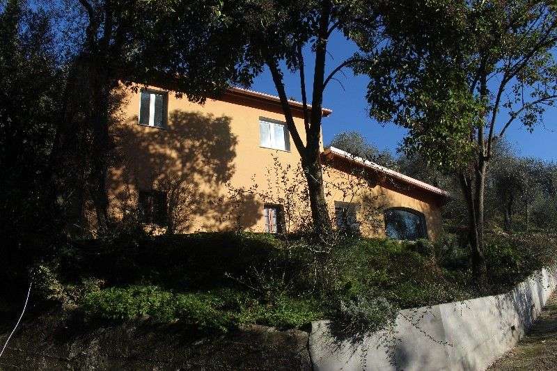  - foto 7