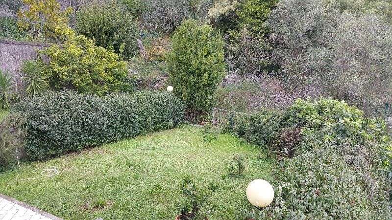  - foto 16