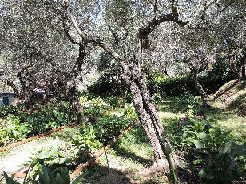  - foto 31