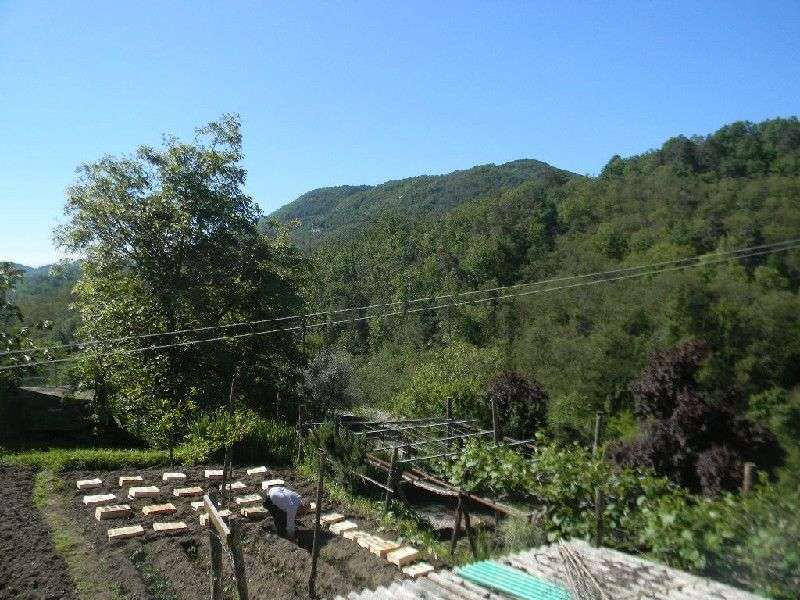  - foto 43
