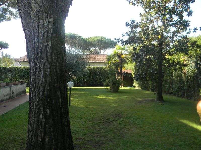  - foto 29