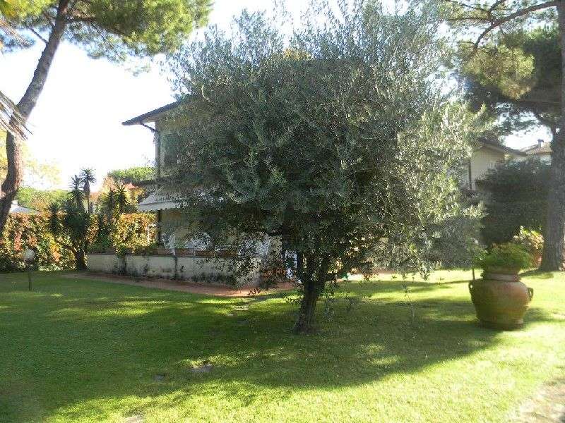 - foto 31