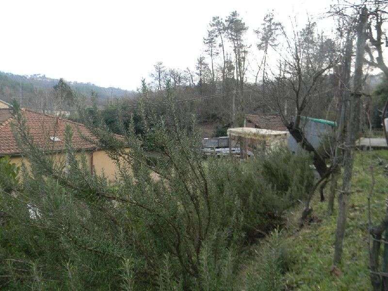  - foto 4