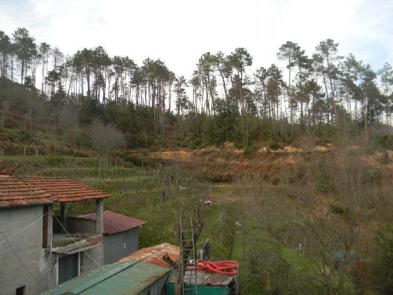  - foto 8