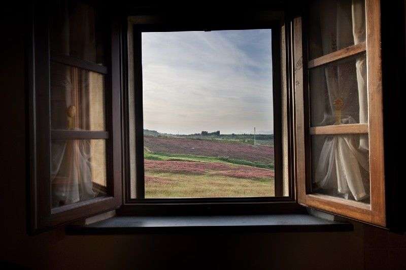  - foto 28