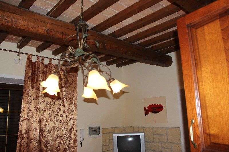  - foto 81