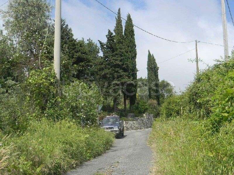  - foto 11