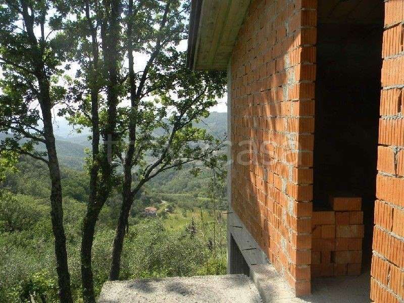  - foto 9