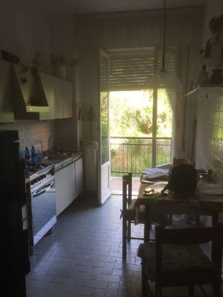  - foto 11