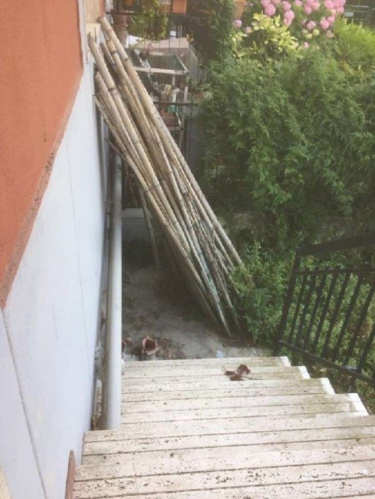  - foto 5