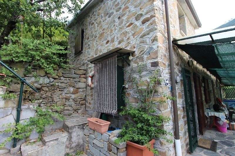  - foto 31