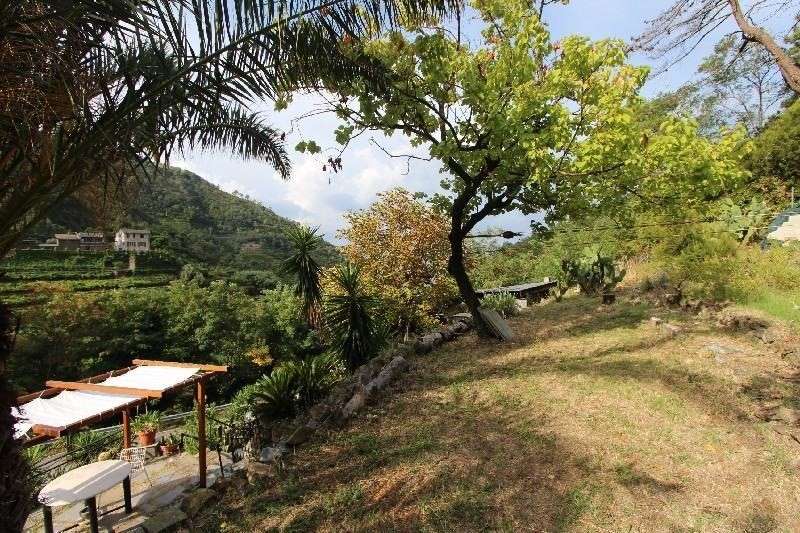  - foto 36