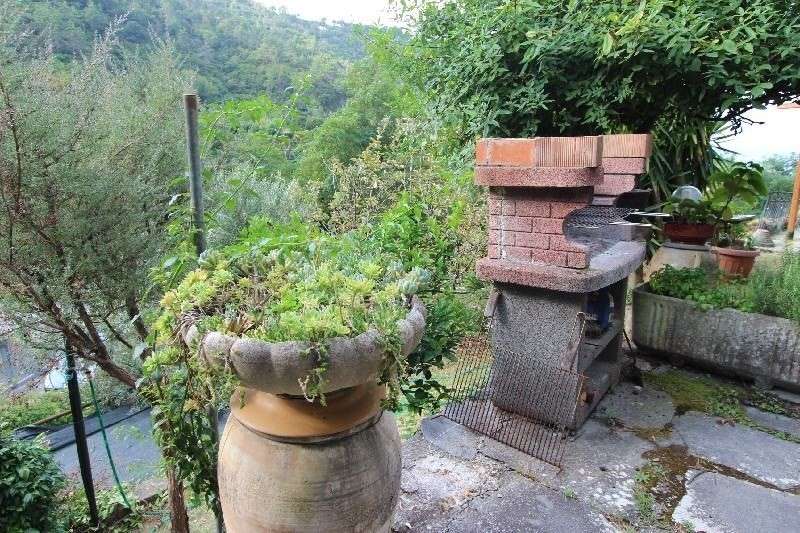  - foto 50