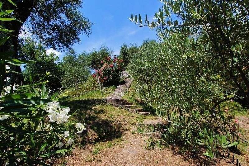  - foto 39